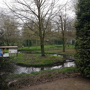 Wading-bird-enclosure