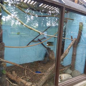 Northern Luzon Cloud Rat Enclosure