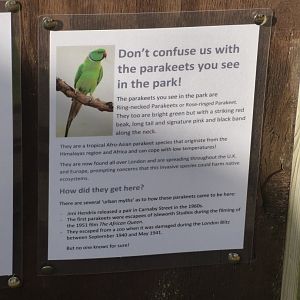 Signage on Yellow-fronted Parakeet Aviary
