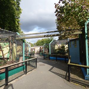 View of Capuchin and Squirrel Monkey Enclosures