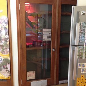 Jungle Python exhibit