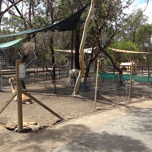 Farm animal enclosures