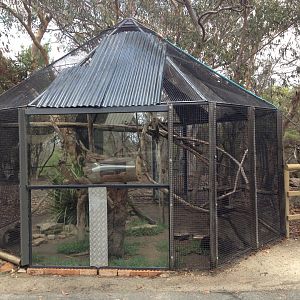 Eastern Quoll exhibit