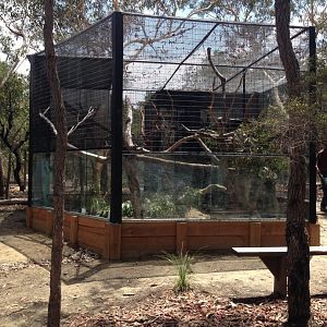 Common Brushtail Possum & Long-nosed Potoroo exhibit