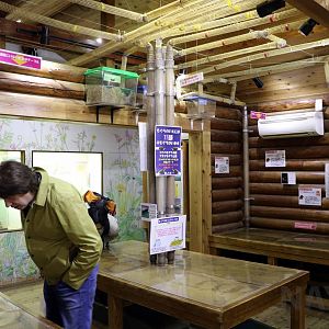 Mole house - with zoochatter, October 2017