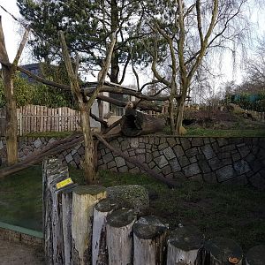Coati-enclosure