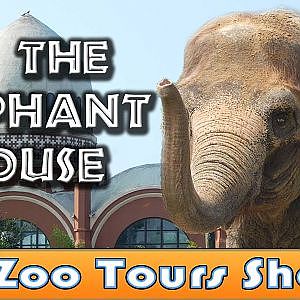 Video: Inside the Elephant House
