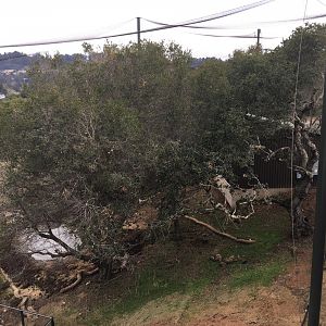 Unknown California trail exhibit
