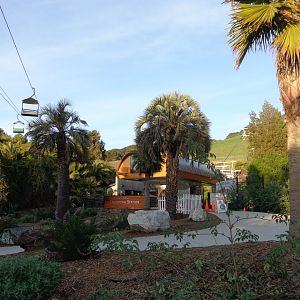 California Station (2018)