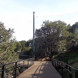 Boardwalk & Bald Eagle Aviary