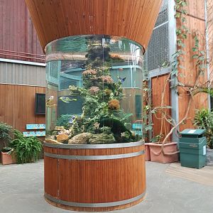 Tropical fish tank in Orang utan forest area