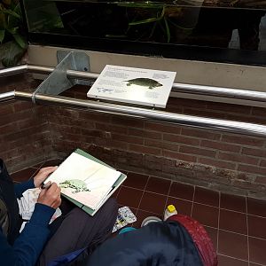 Artist at the Reptilian-house