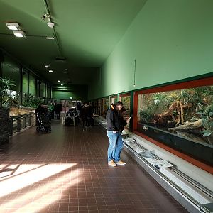 View into the Reptilian-house