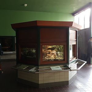 Several smaller Reptilian-enclosures