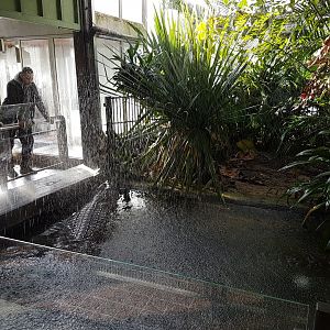 Artificial rain Crocodile-enclosure