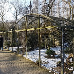 Owl- and Bird of prey aviaries
