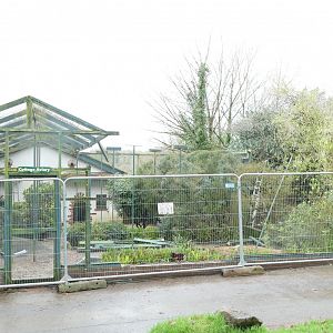 Cottage Aviary, January 2018