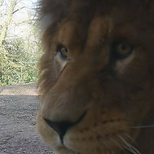 Paul & Lynsey's Zoo Tour #60 Zoo de Jurques - YouTube
