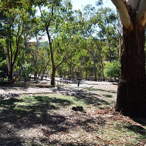 Walkthrough Wallaby Enclosure 01