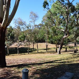 Walkthrough Wallaby Enclosure 02