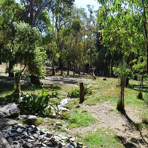 Walkthrough Wallaby Enclosure 03