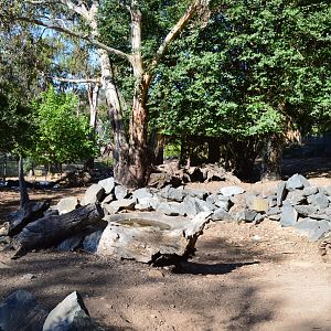 Capybara/Mara Enclosure 01