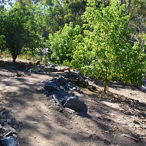 Capybara/Mara Enclosure 02