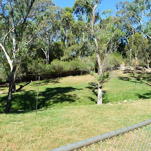Part of the Walkthrough Kangaroo Yard