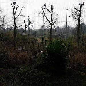 Vogelrijk - Walk-through aviary
