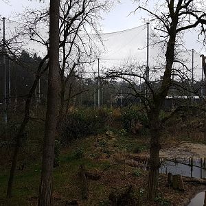 Vogelrijk - Walk-through aviary