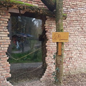 Viewing-window into Yellow-breasted capucine-enclosure
