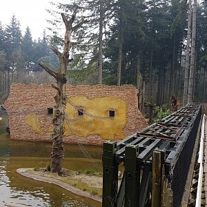 Lemur - Capucine House