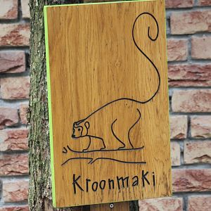 'Sign'  Crowned Lemur