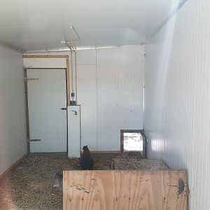 View into indoor dorcopsis-enclosure