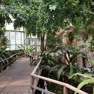 Bridge in Pantanal-part Tropical House