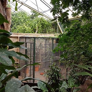 Seperation-aviary Pantanal