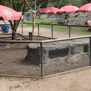 Leopard Tortoise/Native Turtle Enclosure and Show Area