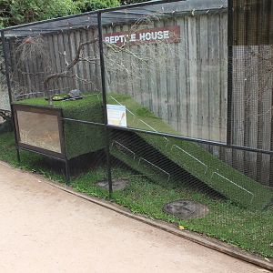 Outdoor Aldabra Tortoise Enclosure