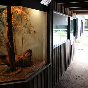 Inside Reptile House