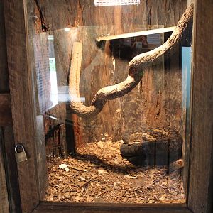 Indoor Scrub Python Enclosure