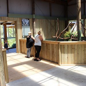 'Koala Sanctuary' Indoors