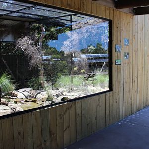 New Natives Aviary