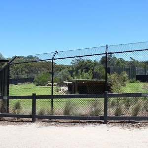 Cheetah Enclosure