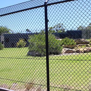 Cheetah Enclosure