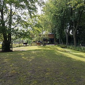 Alpaca-enclosure