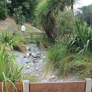 Former Eel Pond, Meet The Locals