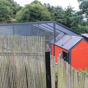 Walk-through Kea Aviary, Meet The Locals