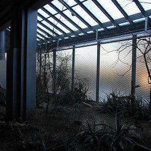 Feathers and Scales Desert Aviary