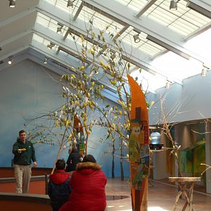Wild Encounters Parakeet Aviary