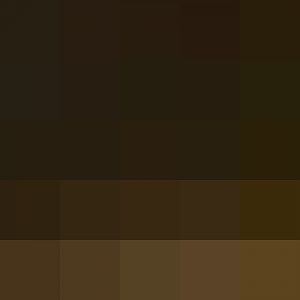 Ring Tail & Sifaka 2015